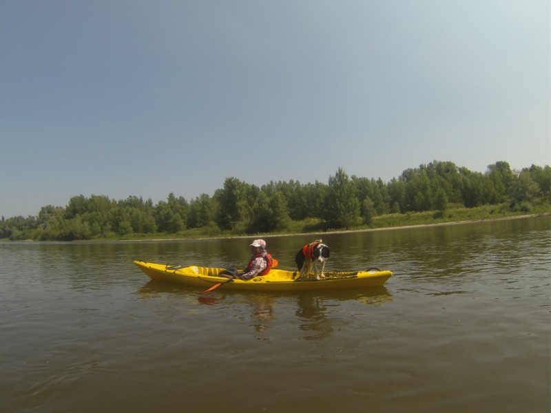 kayak
