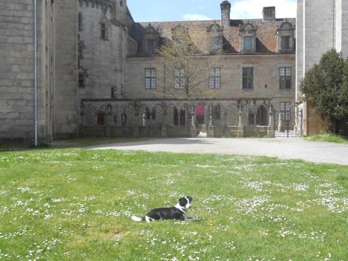 quimper