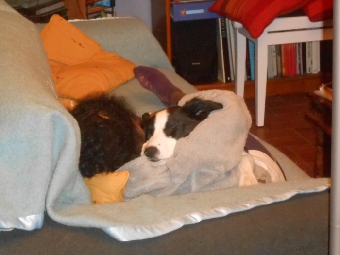 calin