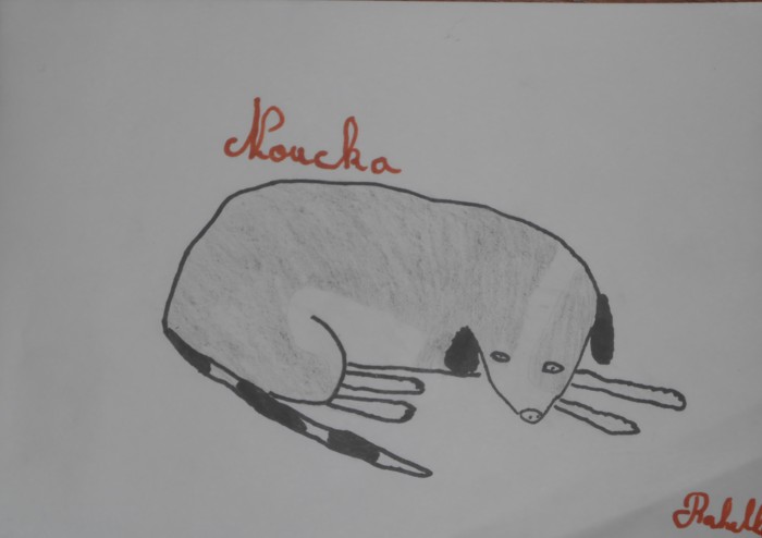 Nouchka