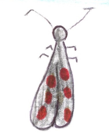 poupée