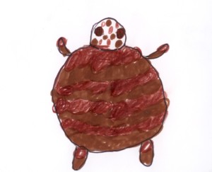 tortue