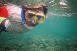 sous l'eau