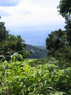 paysage