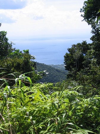 paysage