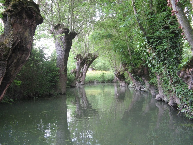 marais