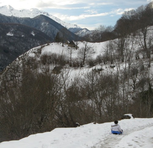 luge