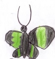 papillon