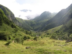 paysage