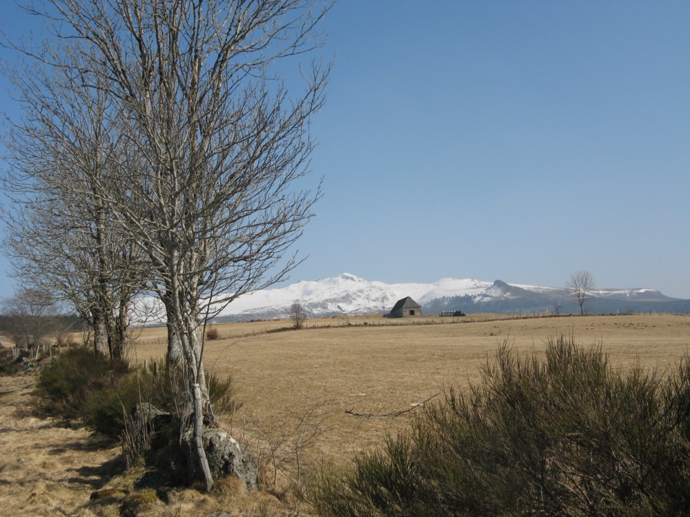 paysage