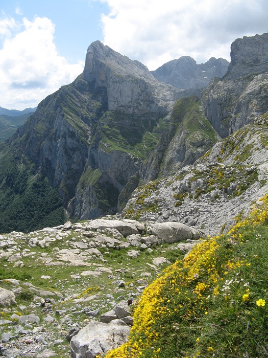 paysage picos
