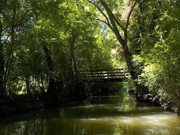 marais1
