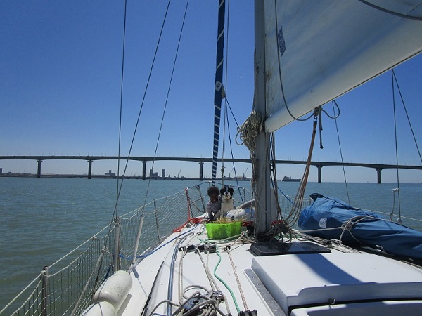 pont