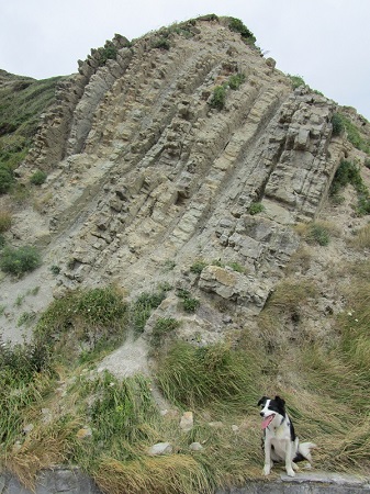 flich2