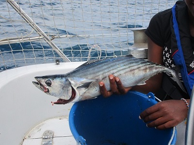 peche