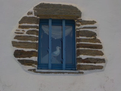 goelan-vitre