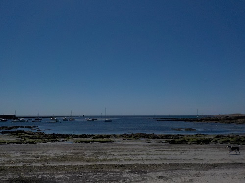 laplage