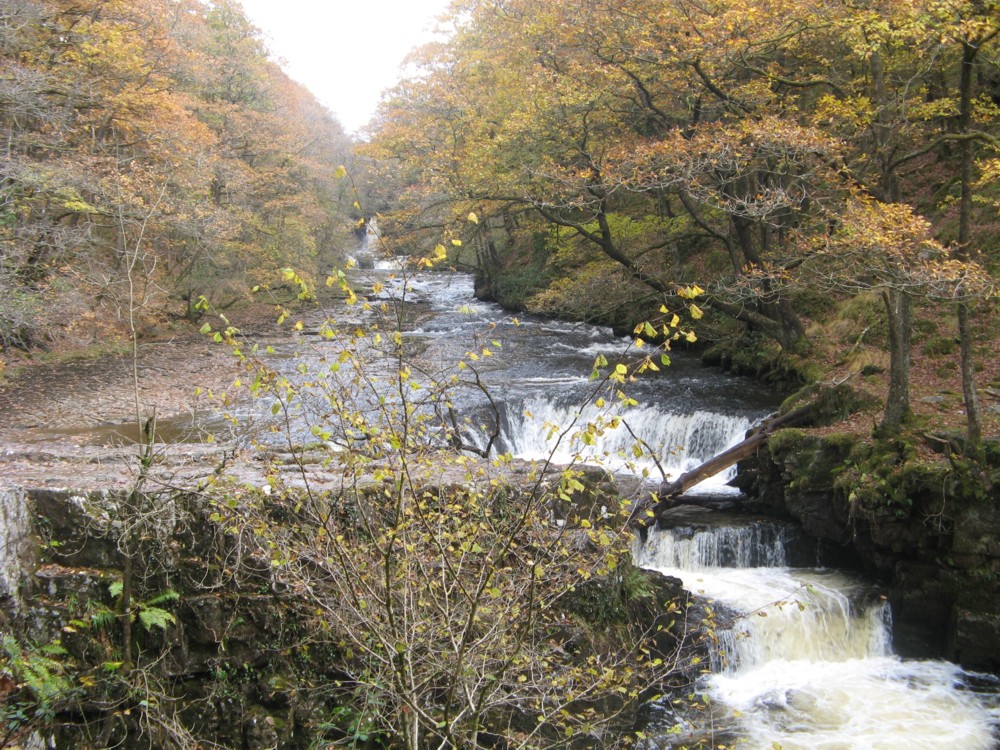 chute1