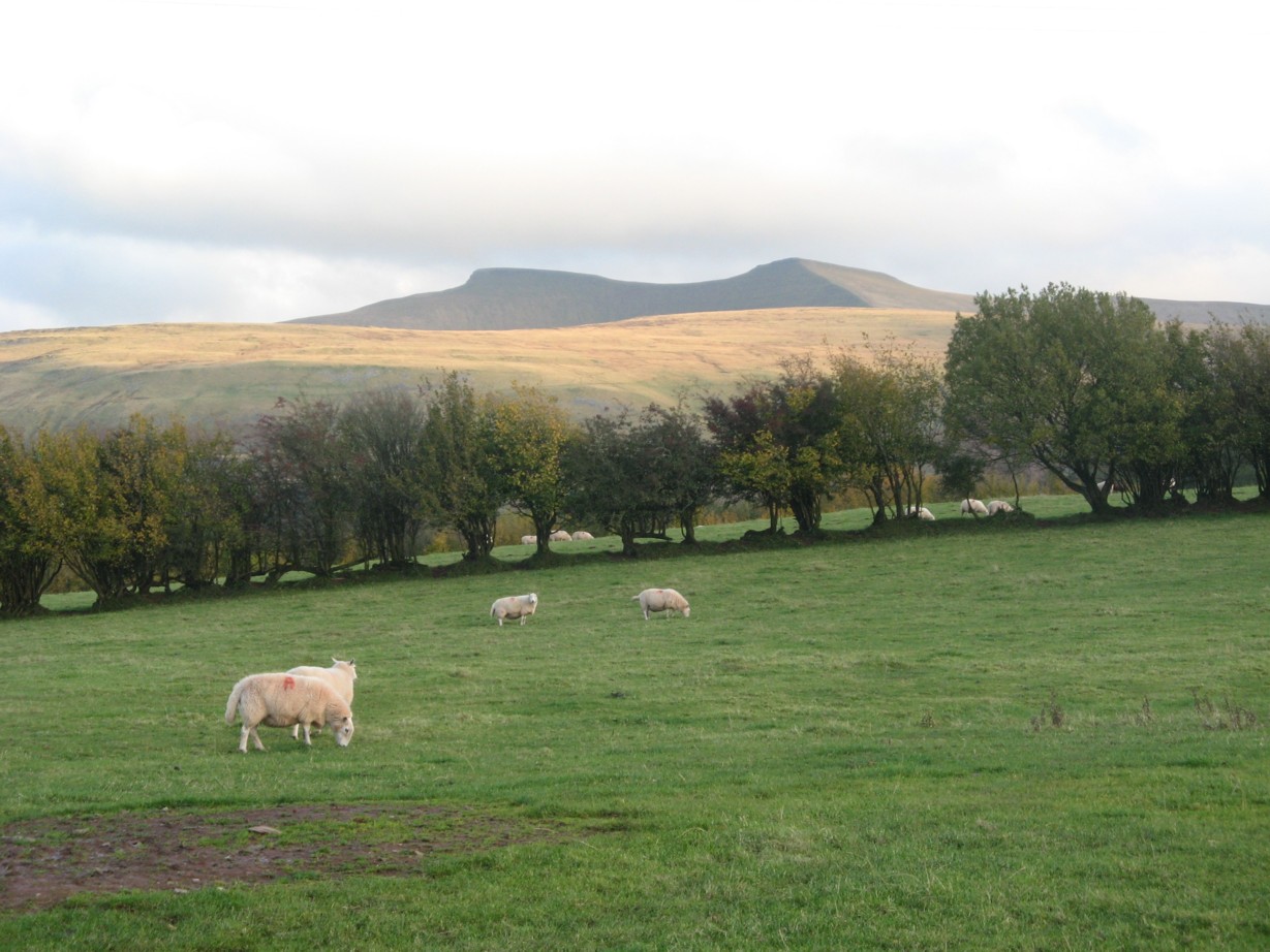 paysage1