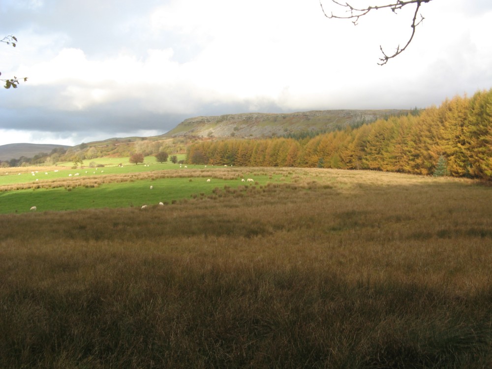 paysage3